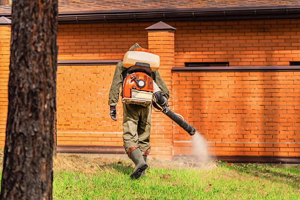 Trusted Mosquito Control service in Fillmore, UT - Nex Pest Control
